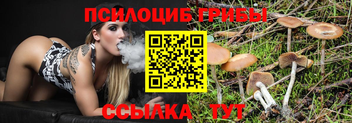Псилоцибиновые грибы Cubensis  Вход с VPN  Карталы  Псилоцибиновые грибы мицелий 