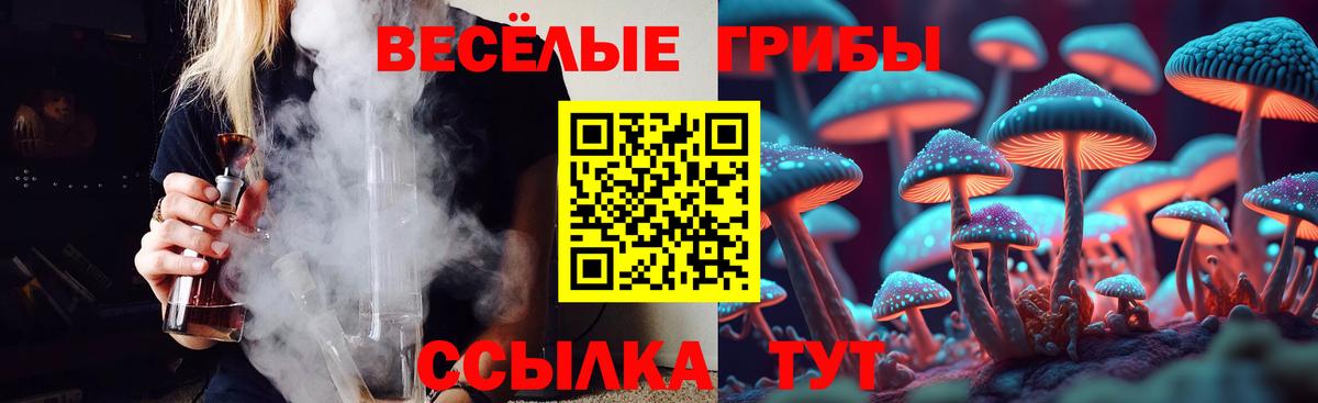 Псилоцибиновые грибы мицелий Карталы